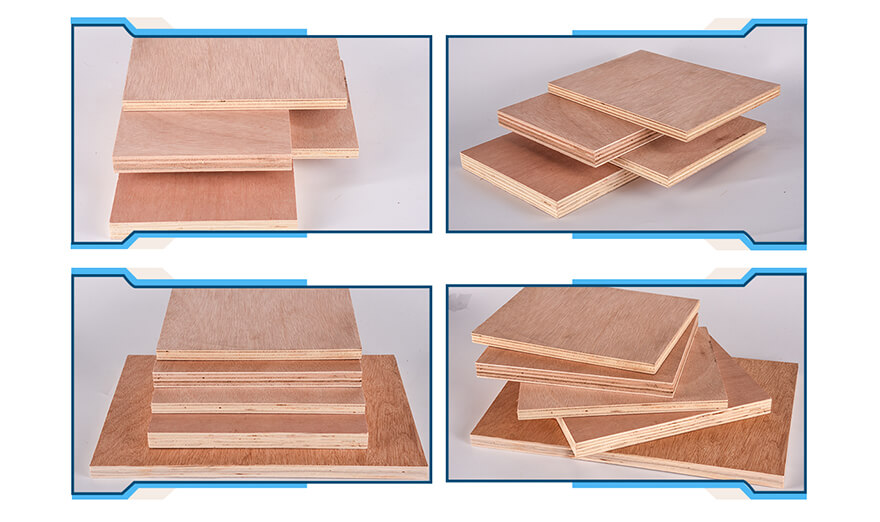 Contrachapado de álamo de 12 mm Bintangor para fabricante de muebles de